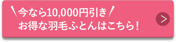今なら10,000円引き　お得な羽毛ふとんはこちら！