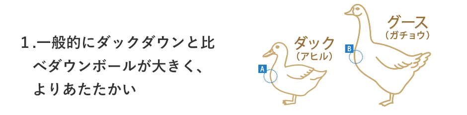 1.一般的にダックダウンと比　べダウンボールが大きく、よりあたたかい