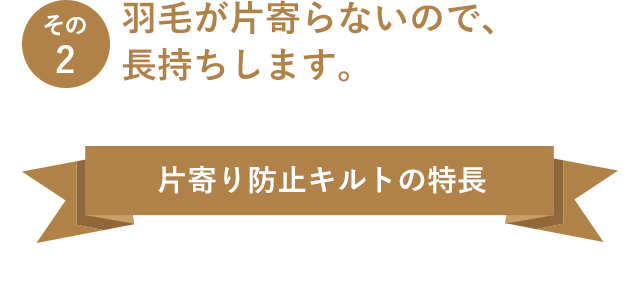 その2 羽毛が片寄らないので、長持ちします。 片寄り防止キルトの特長